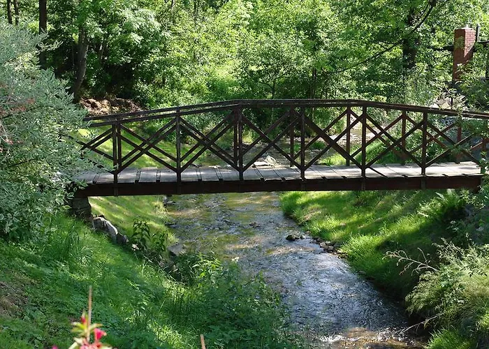 Pod Jesionami Дом отдыха *